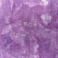 Purple Posies (Light)